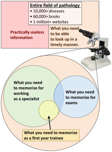 File:Field of pathology.png