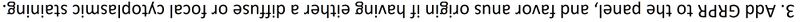 File:GRPR answer.jpg