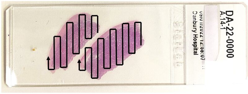 File:Microscopy slide scanning.jpg
