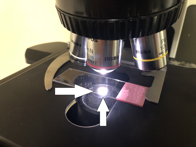 Example starting position of objective.